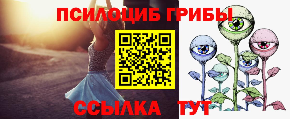 Псилоцибиновые грибы GOLDEN TEACHER Похвистнево