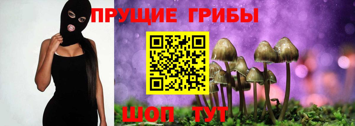 Псилоцибиновые грибы мухоморы  как найти наркотики  Похвистнево  Вход с VPN 